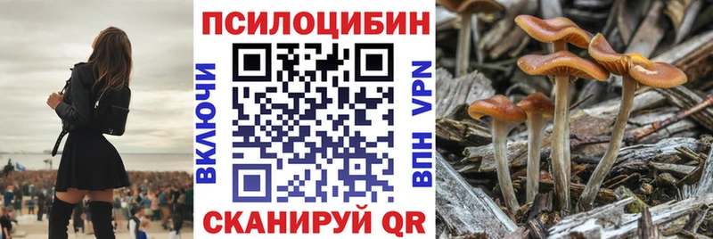 Галлюциногенные грибы Psilocybine cubensis  Сегежа 